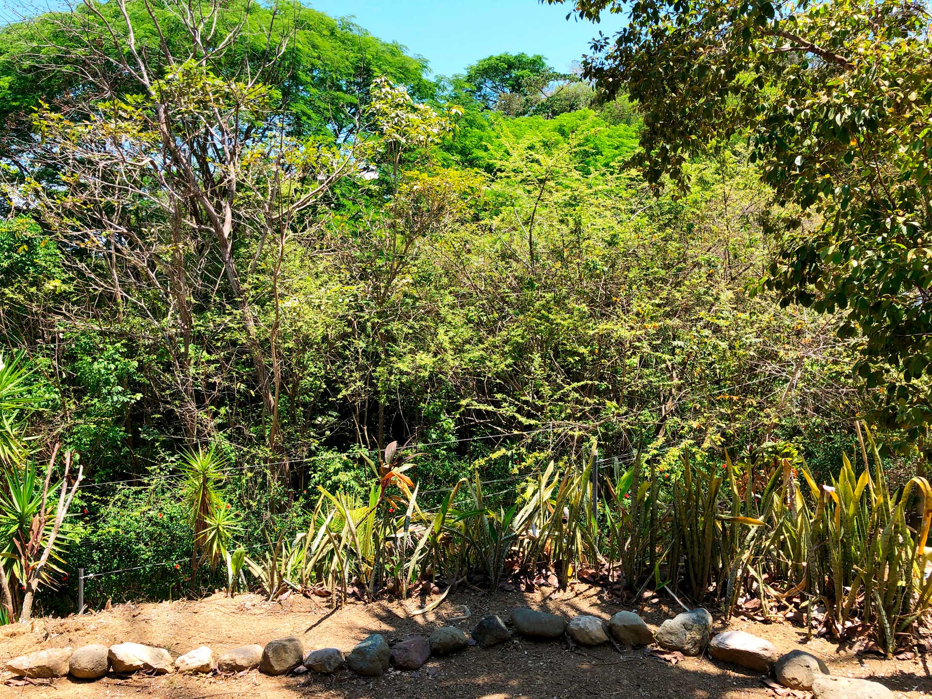 2 bed Single Family Homes For Sale in Jaco, Puntarenas - thumb 13