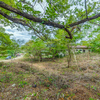  - Guiones Beach Club Lot#18 - 24/7 Security Small Ocean View & Walk to the Beach
