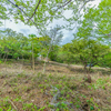  - Guiones Beach Club Lot#18 - 24/7 Security Small Ocean View & Walk to the Beach