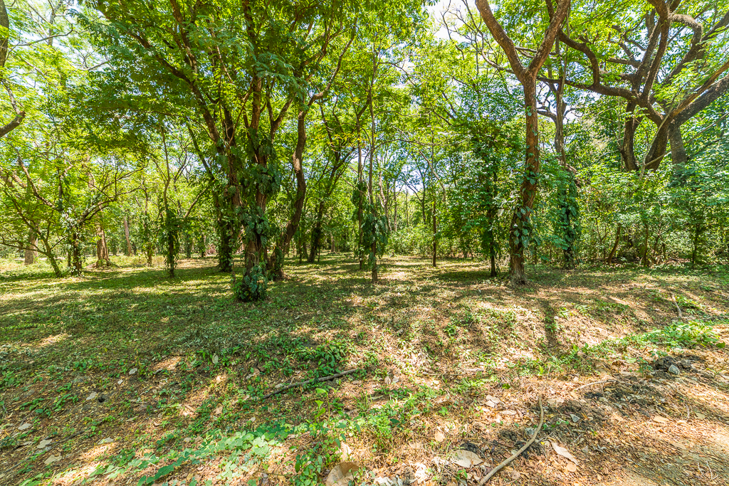 0 bed Land For Sale in Nosara, Guanacaste - thumb 6