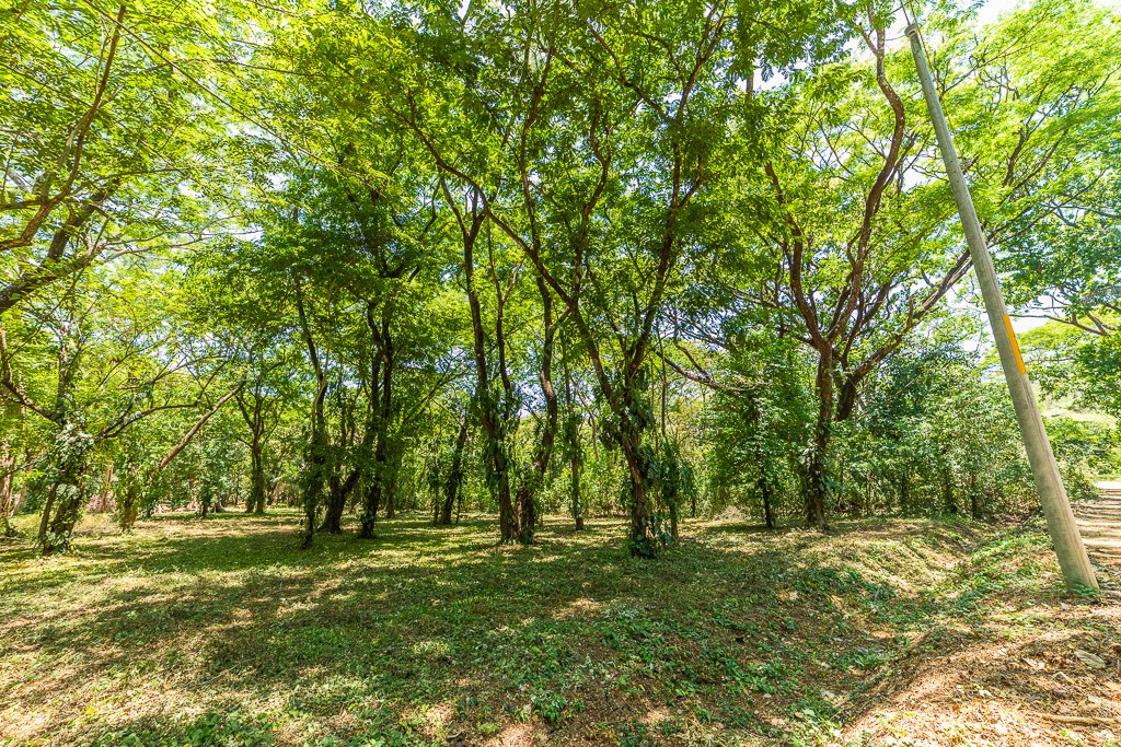 0 bed Land For Sale in Nosara, Guanacaste - thumb 4