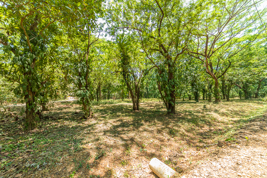 0 bed Land For Sale in Nosara, Guanacaste - thumb 7