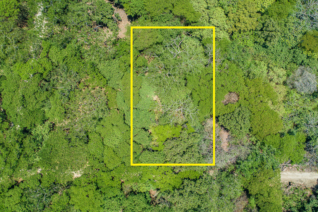 0 bed Land For Sale in Nosara, Guanacaste - thumb 1