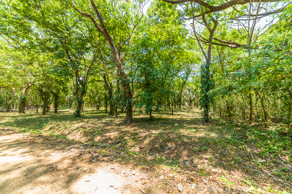 0 bed Land For Sale in Nosara, Guanacaste - thumb 5