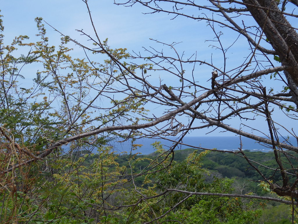 0 bed Land For Sale in Samara, Guanacaste - thumb 13