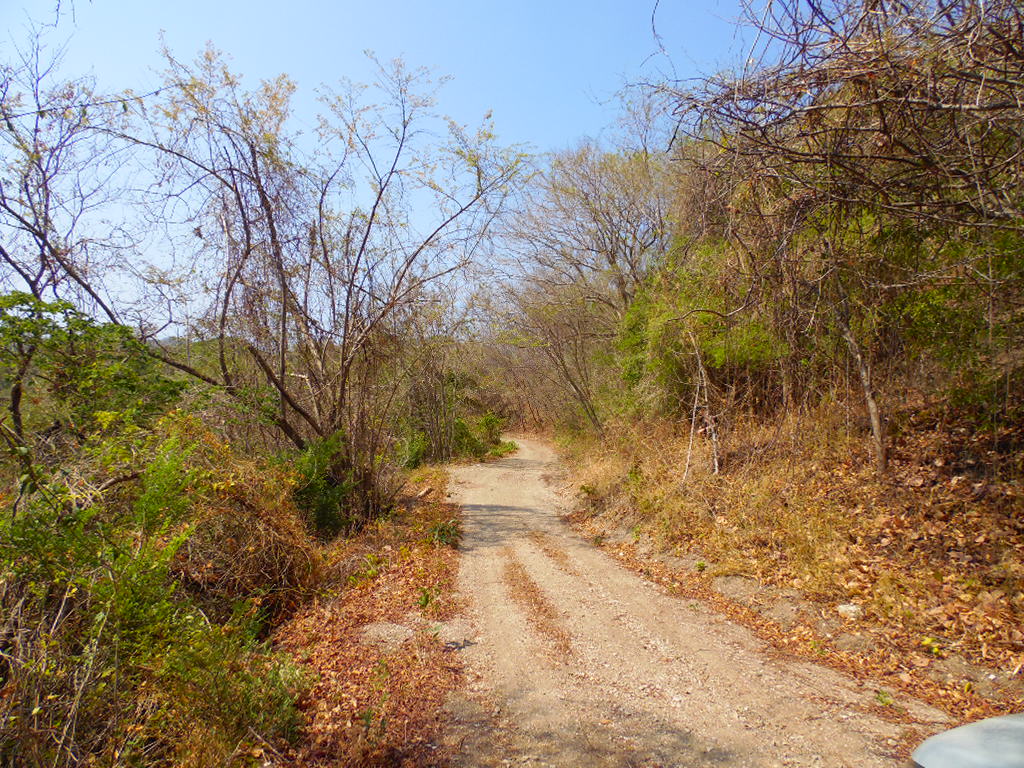 0 bed Land For Sale in Samara, Guanacaste - thumb 4