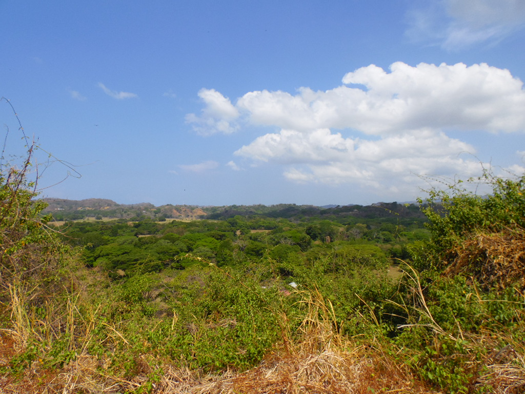 0 bed Land For Sale in Samara, Guanacaste - thumb 2