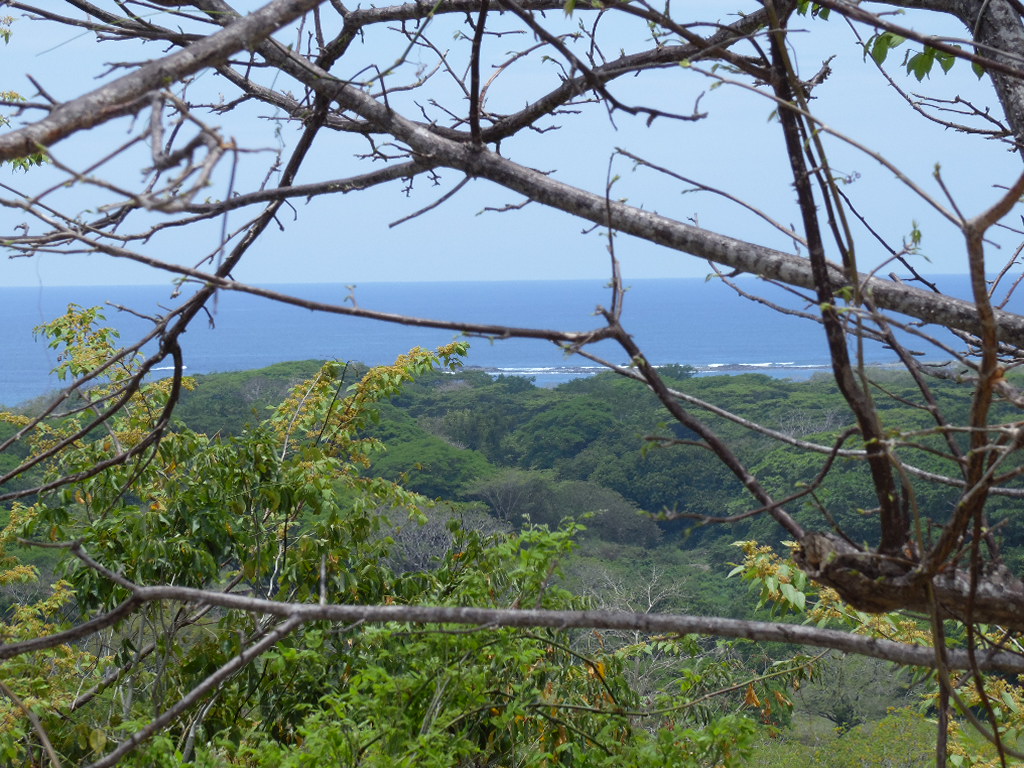 0 bed Land For Sale in Samara, Guanacaste - thumb 14