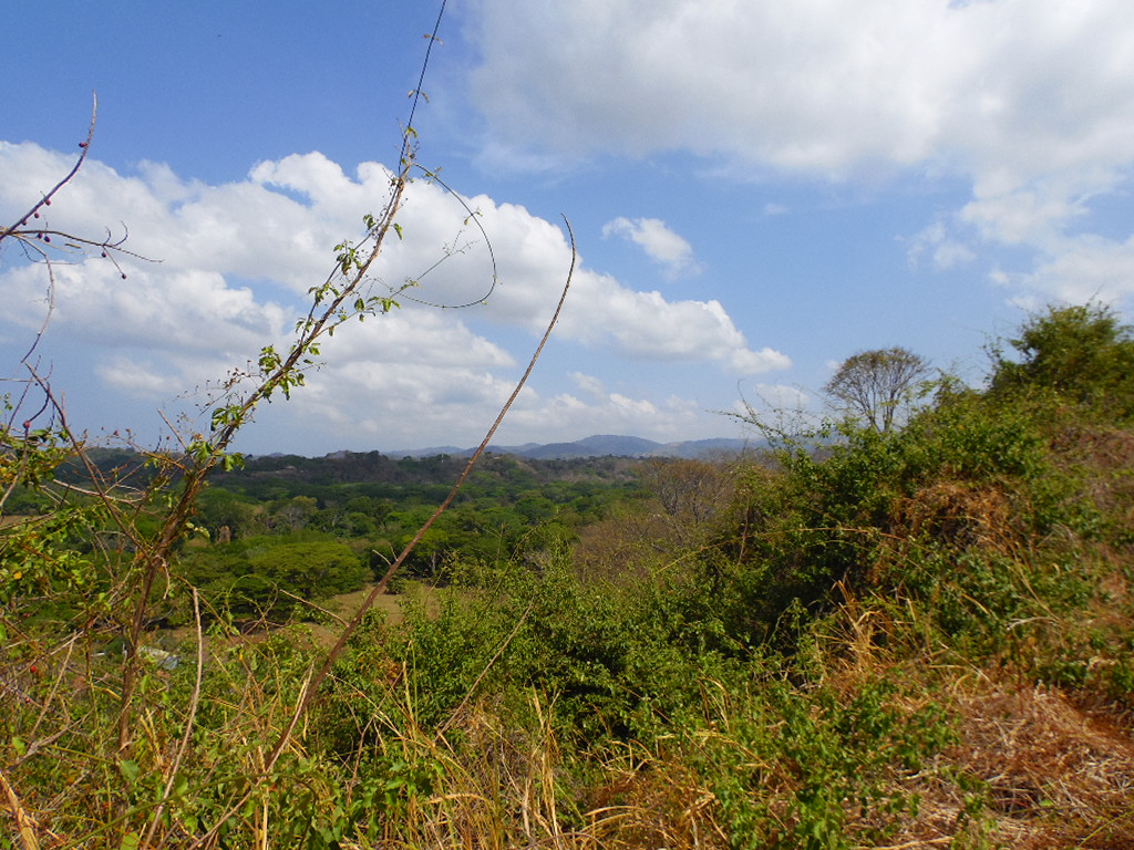 0 bed Land For Sale in Samara, Guanacaste - thumb 3
