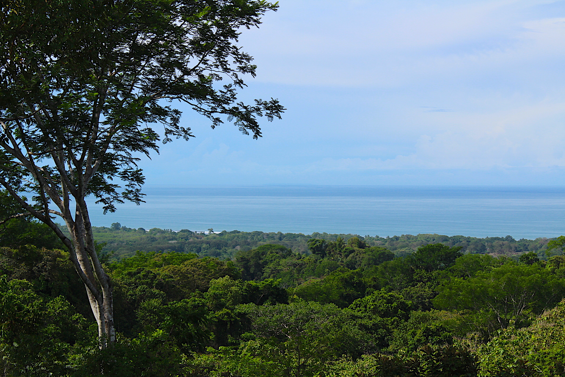 3 bed Single Family Homes For Sale in Dominical, Puntarenas - thumb 6