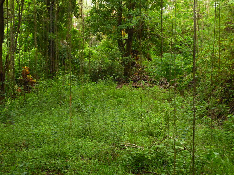 0 bed Land For Sale in Samara, Guanacaste - 1