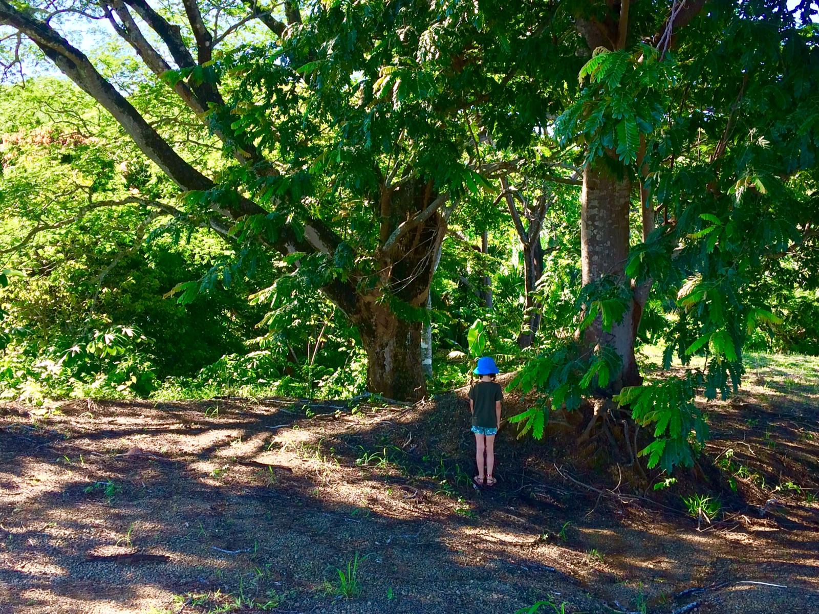 0 bed Land For Sale in Samara, Guanacaste - thumb 17