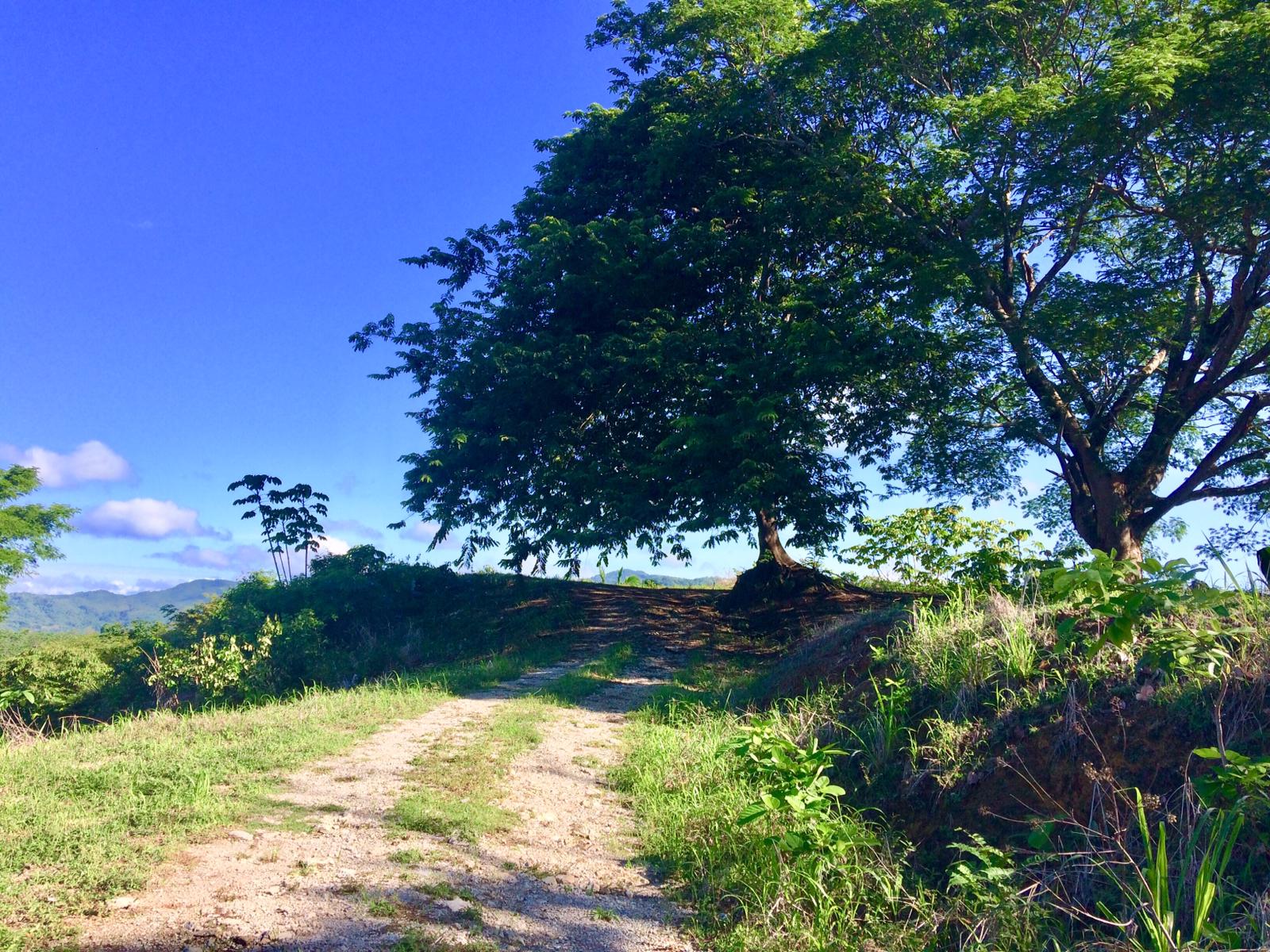 0 bed Land For Sale in Samara, Guanacaste - thumb 18