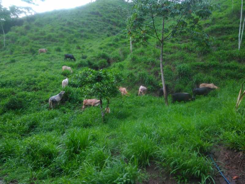 0 bed Land For Sale in Nicoya Peninsula, Guanacaste - 1