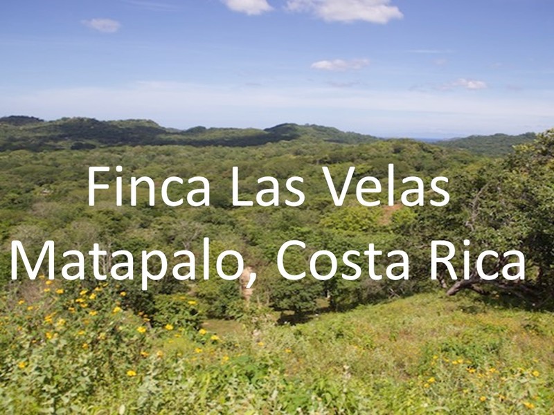 0 bed Land For Sale in Matapalo, Guanacaste - 1