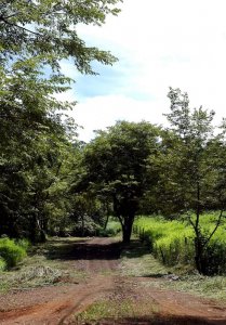 0 bed Land For Sale in Playas Del Coco, Guanacaste - thumb 10