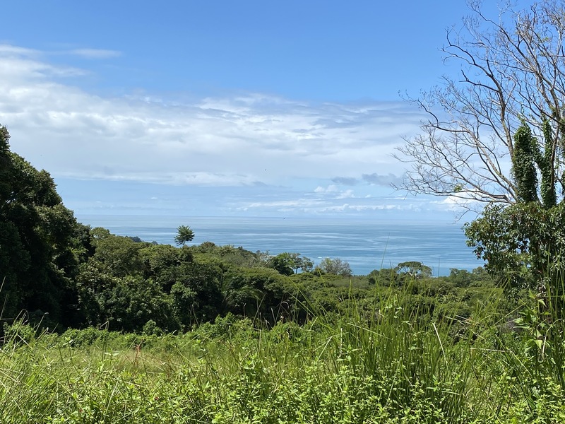 0 bed Land For Sale in Dominical, Puntarenas - 1
