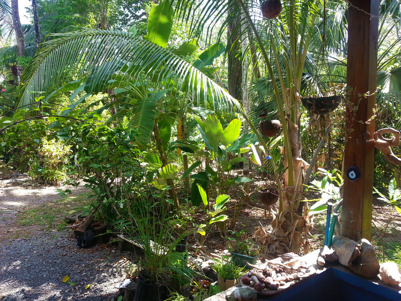 4 Bed Single Family Homes For Sale in Pavones Costa Rica