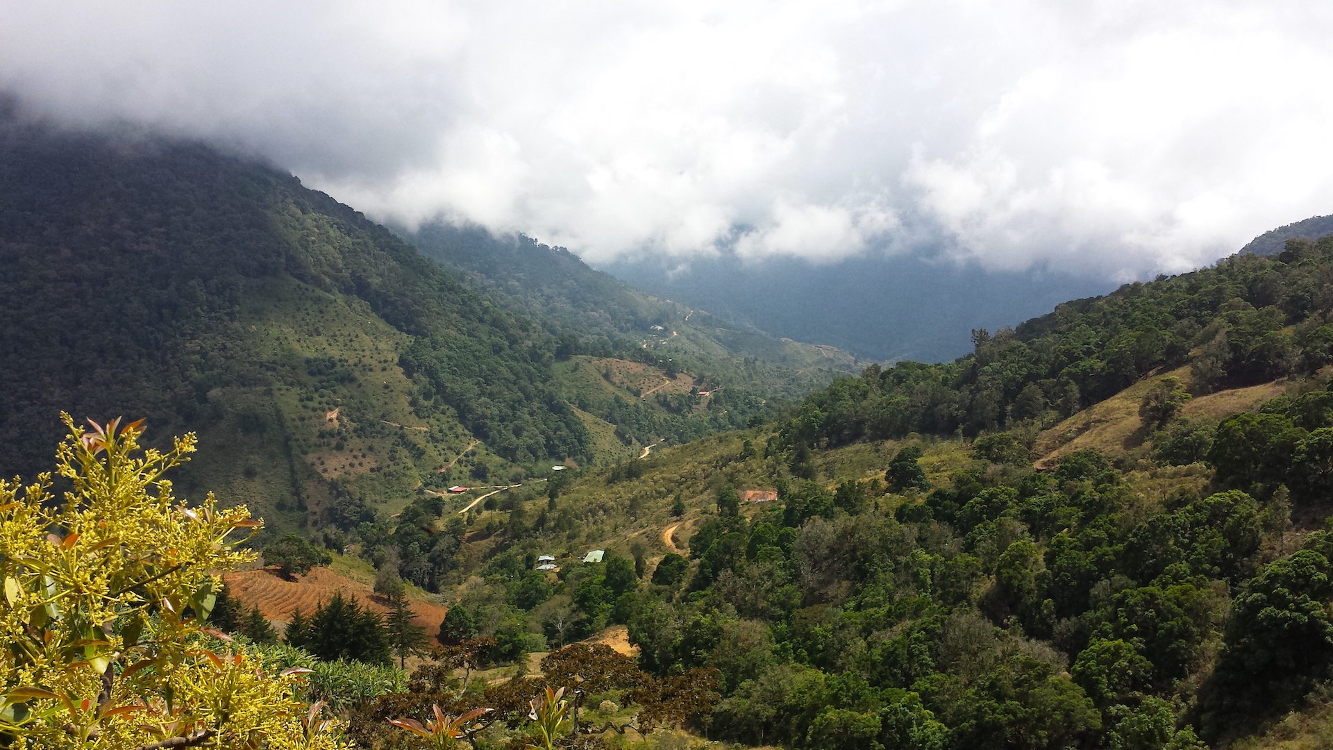 2 bed Land For Sale in San Jose, San Jose - thumb 2