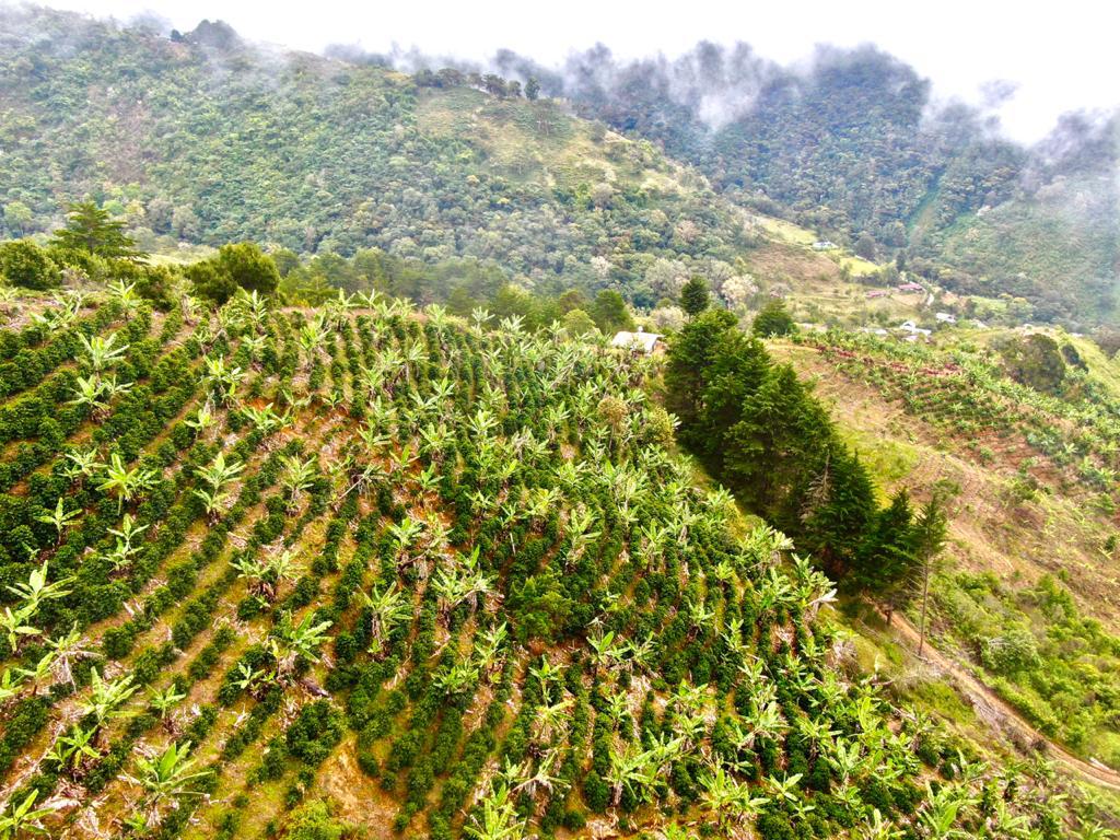 2 bed Land For Sale in San Jose, San Jose - thumb 15