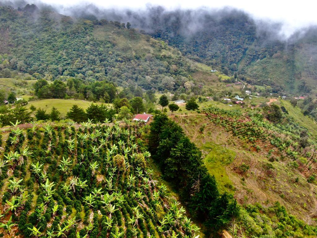 2 bed Land For Sale in San Jose, San Jose - thumb 21