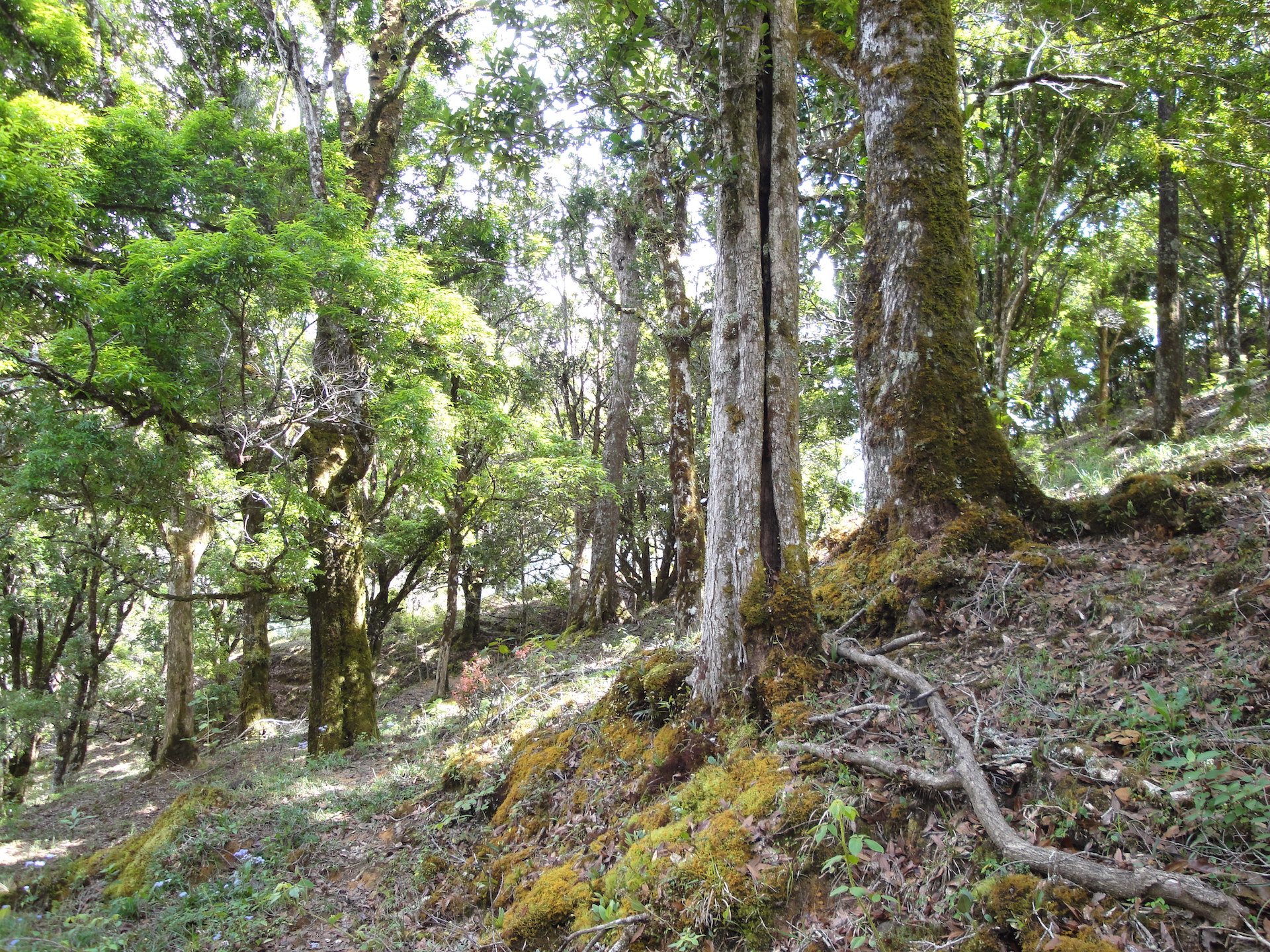 2 bed Land For Sale in San Jose, San Jose - thumb 16