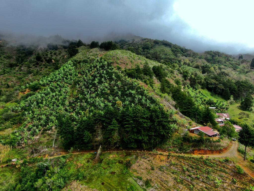 2 bed Land For Sale in San Jose, San Jose - thumb 24