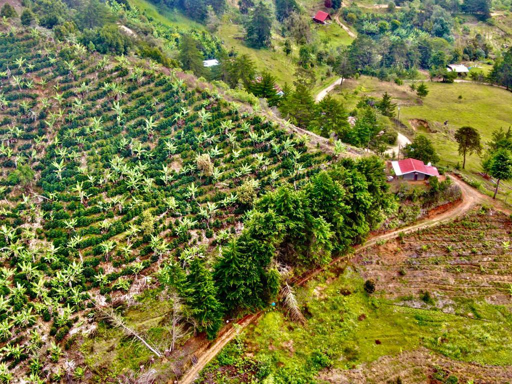 2 bed Land For Sale in San Jose, San Jose - thumb 23