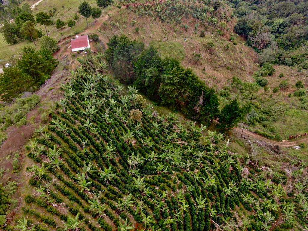 2 bed Land For Sale in San Jose, San Jose - thumb 14