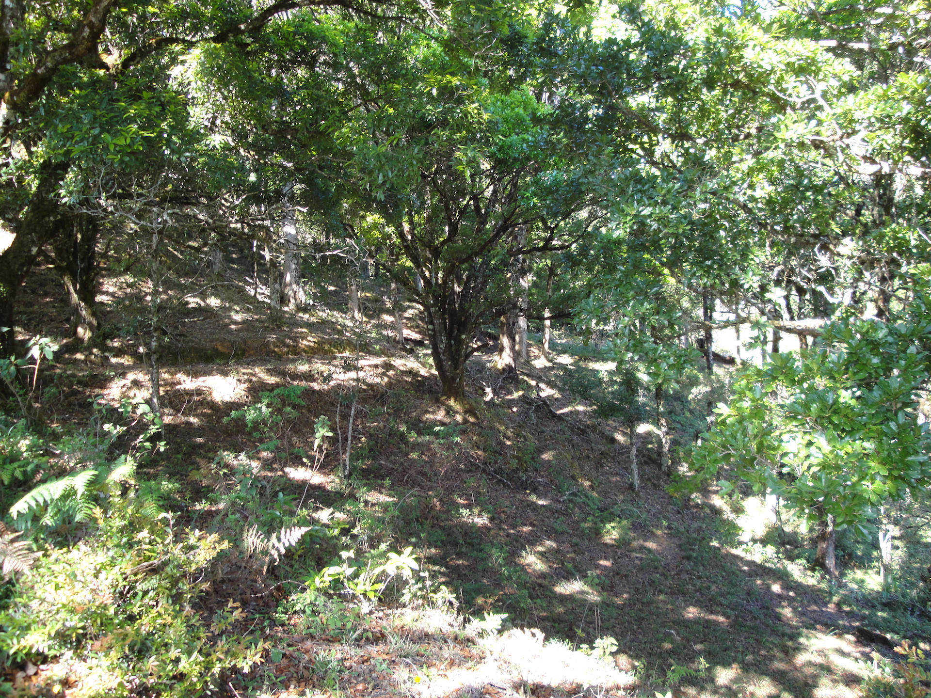 2 bed Land For Sale in San Jose, San Jose - thumb 5