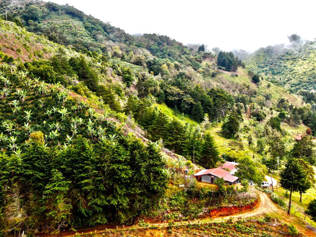 2 bed Land For Sale in San Jose, San Jose - thumb 22