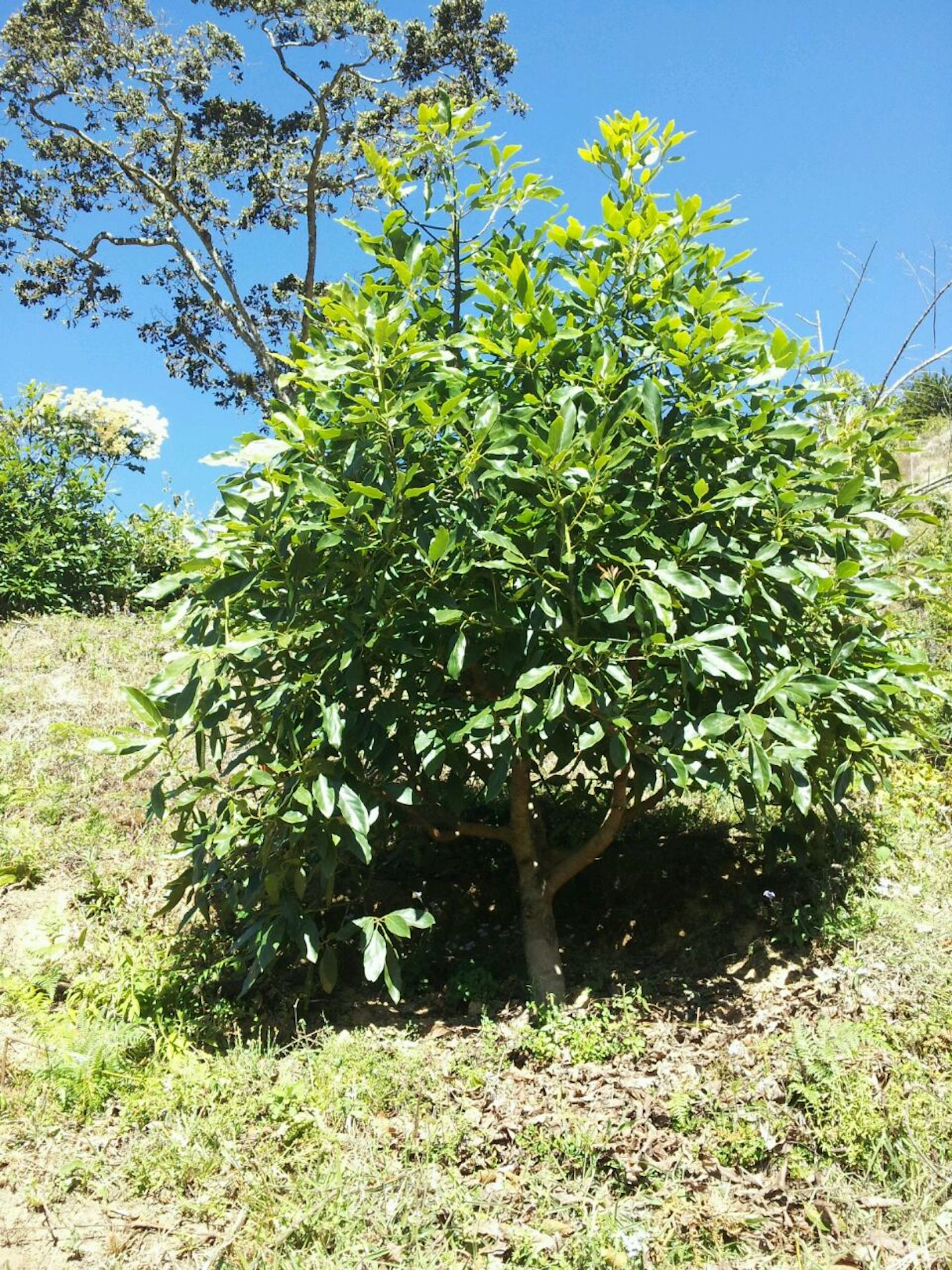 2 bed Land For Sale in San Jose, San Jose - thumb 9