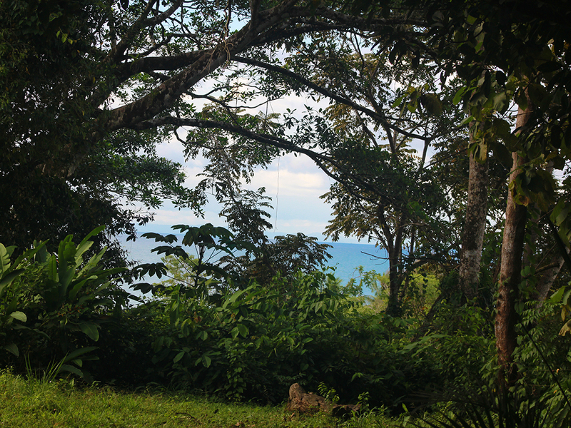Land For Sale in Pavones Costa Rica