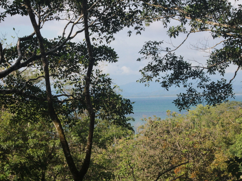 Land For Sale in Pavones Costa Rica