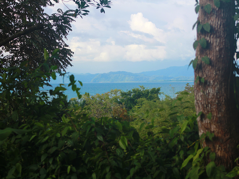 Land For Sale in Pavones Costa Rica
