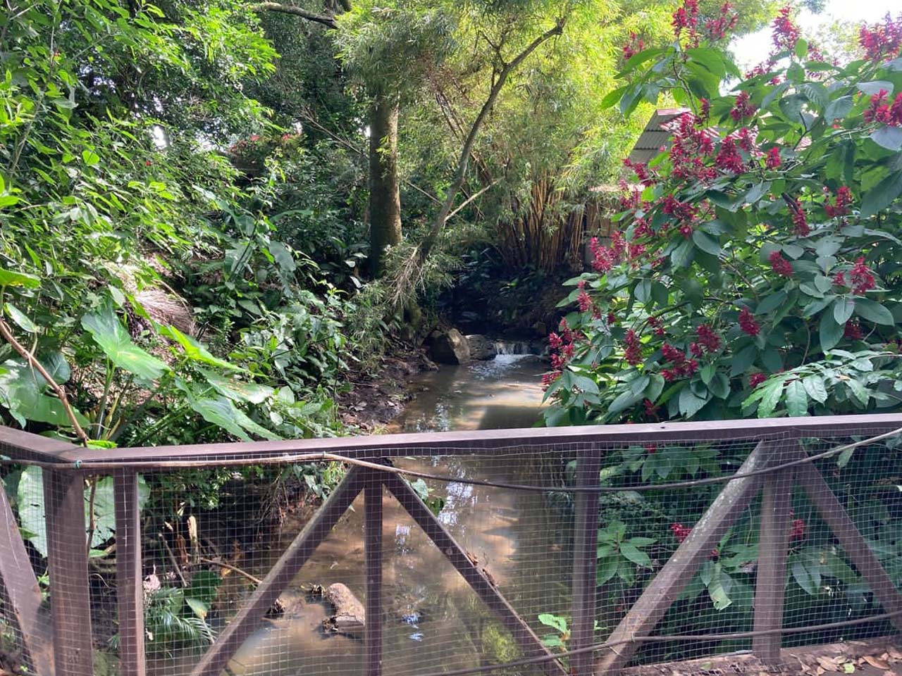 27 bed Hotel / Leisure For Sale in La Guacima, Alajuela - thumb 23