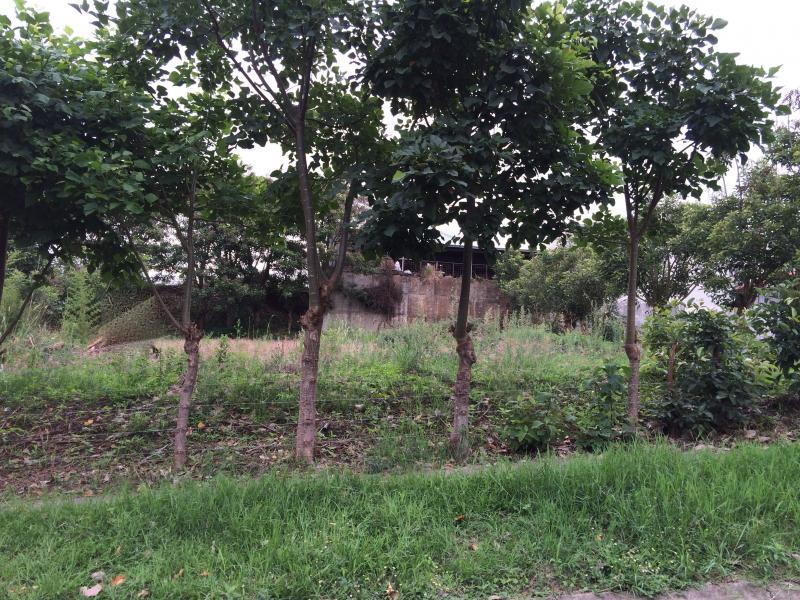 0 bed Land For Sale in Tres Ríos, Cartago - thumb 4