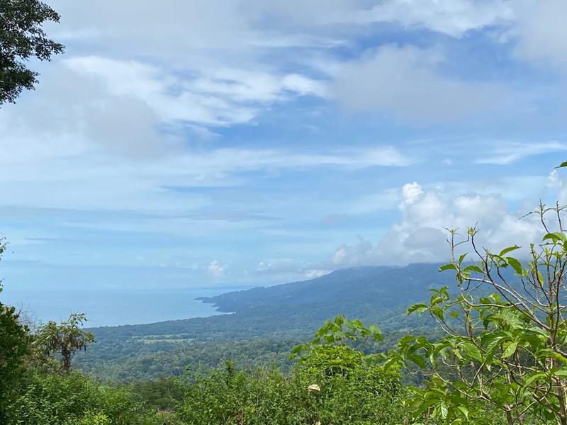 0 bed Land For Sale in Uvita, Puntarenas - 1