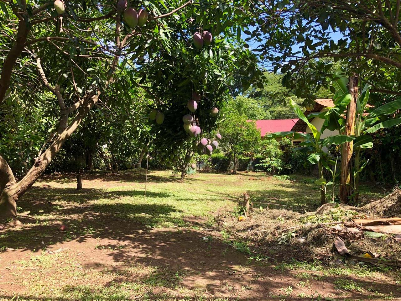 3 bed Single Family Homes For Sale in Atenas, Alajuela - thumb 26
