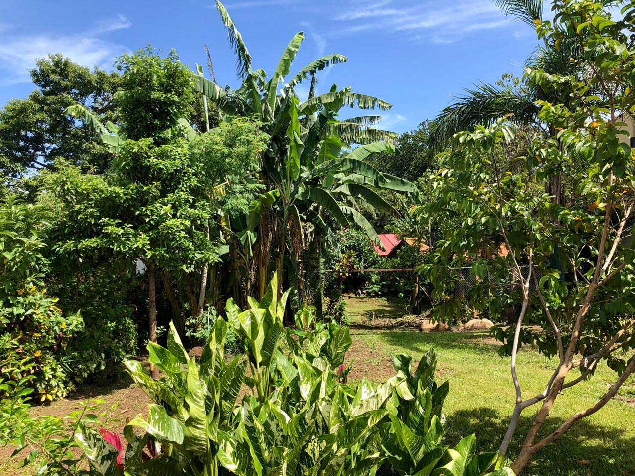 3 bed Single Family Homes For Sale in Atenas, Alajuela - thumb 13
