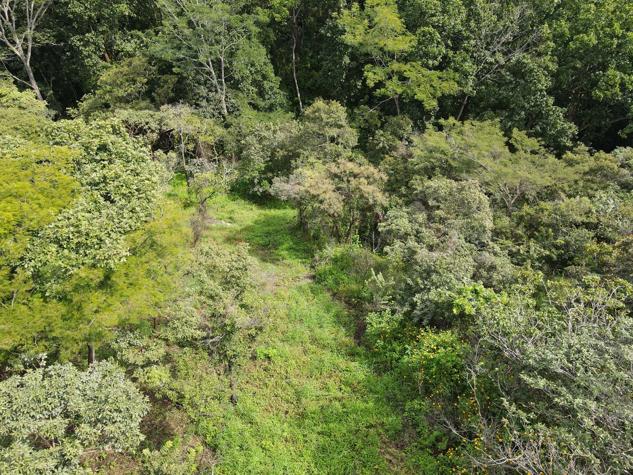 0 bed Land For Sale in Atenas, Alajuela - thumb 10