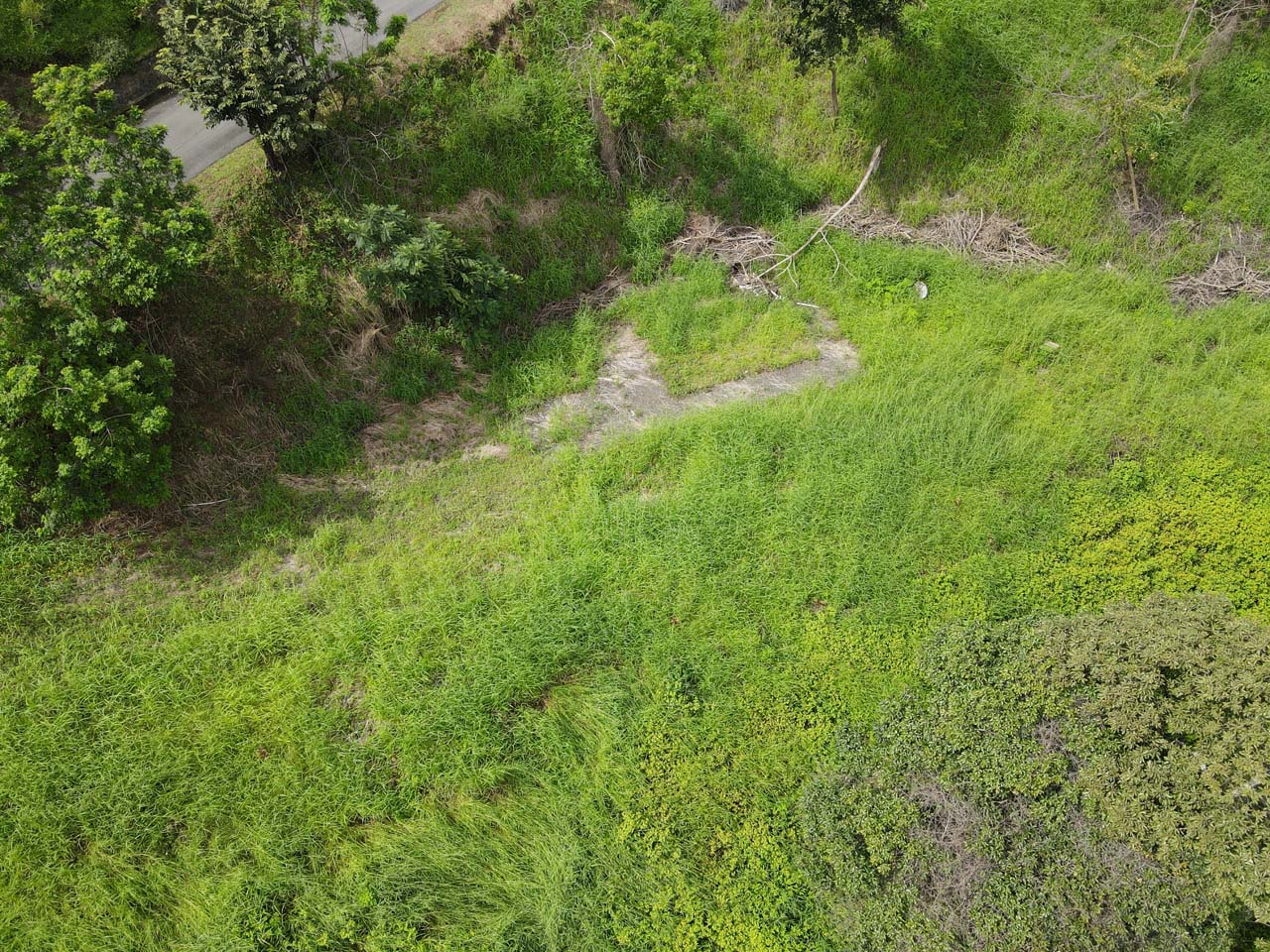 0 bed Land For Sale in Atenas, Alajuela - thumb 4