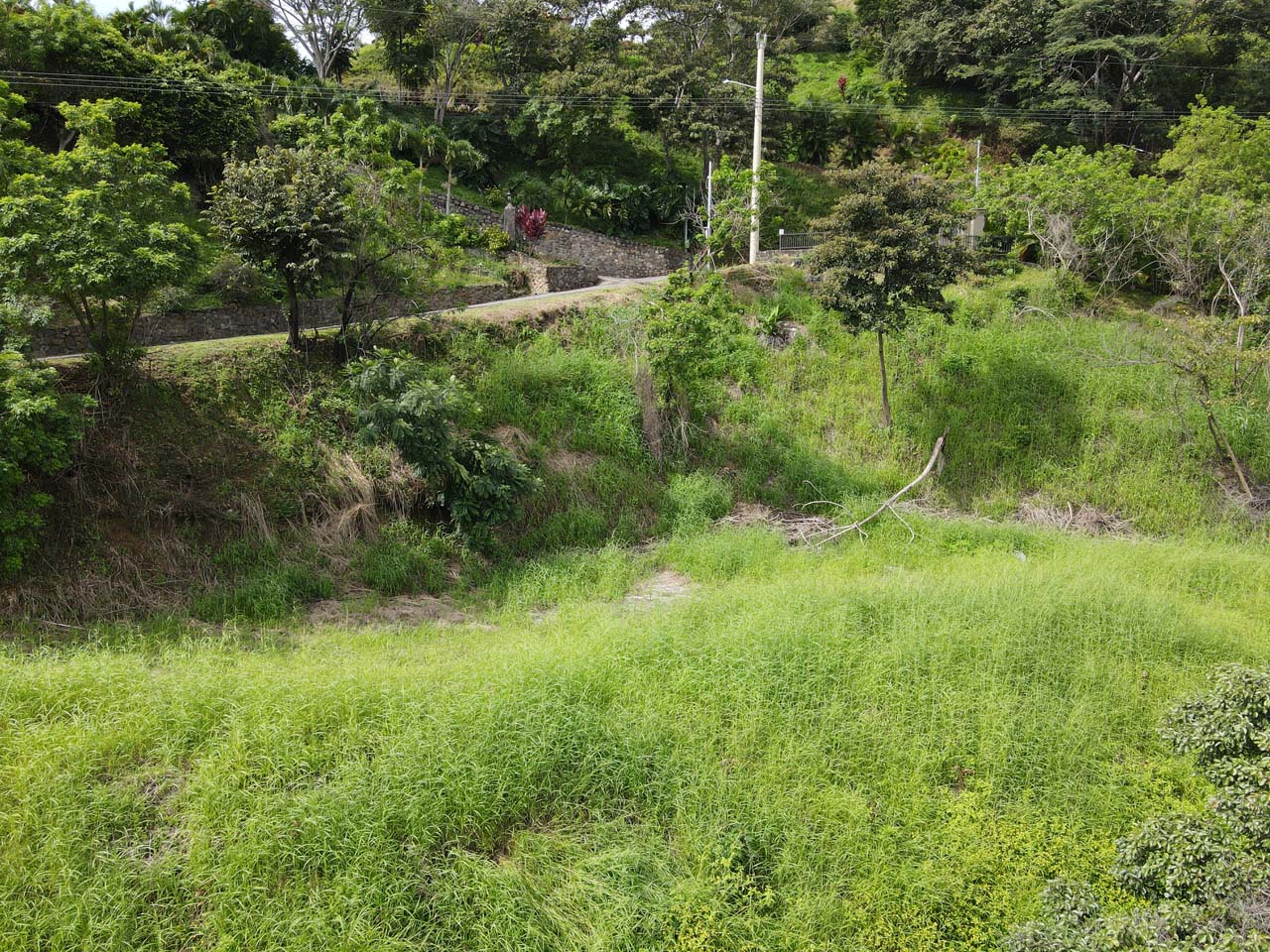 0 bed Land For Sale in Atenas, Alajuela - thumb 8