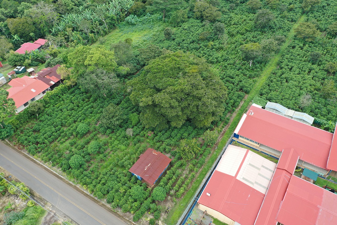 0 bed Land For Sale in Naranjo, Alajuela - thumb 2