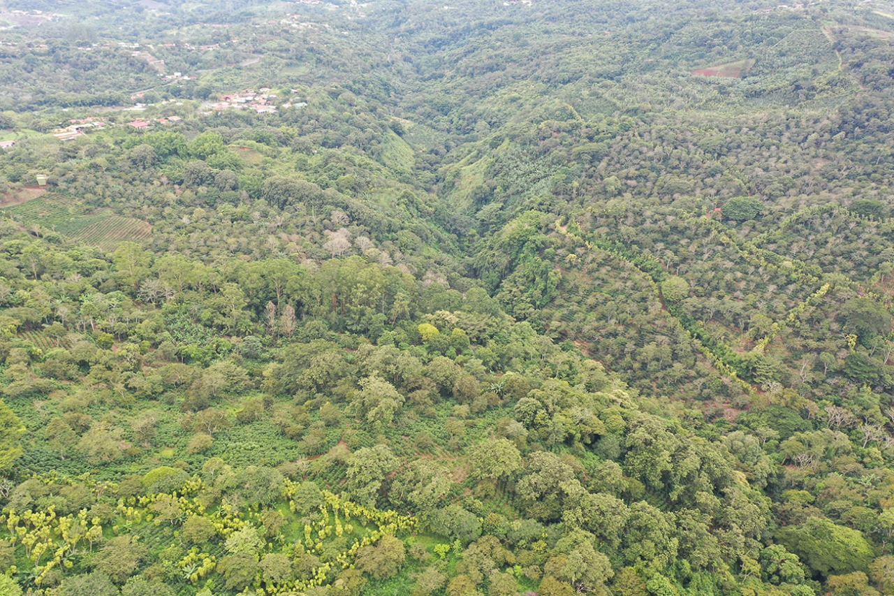 0 bed Land For Sale in Naranjo, Alajuela - thumb 5