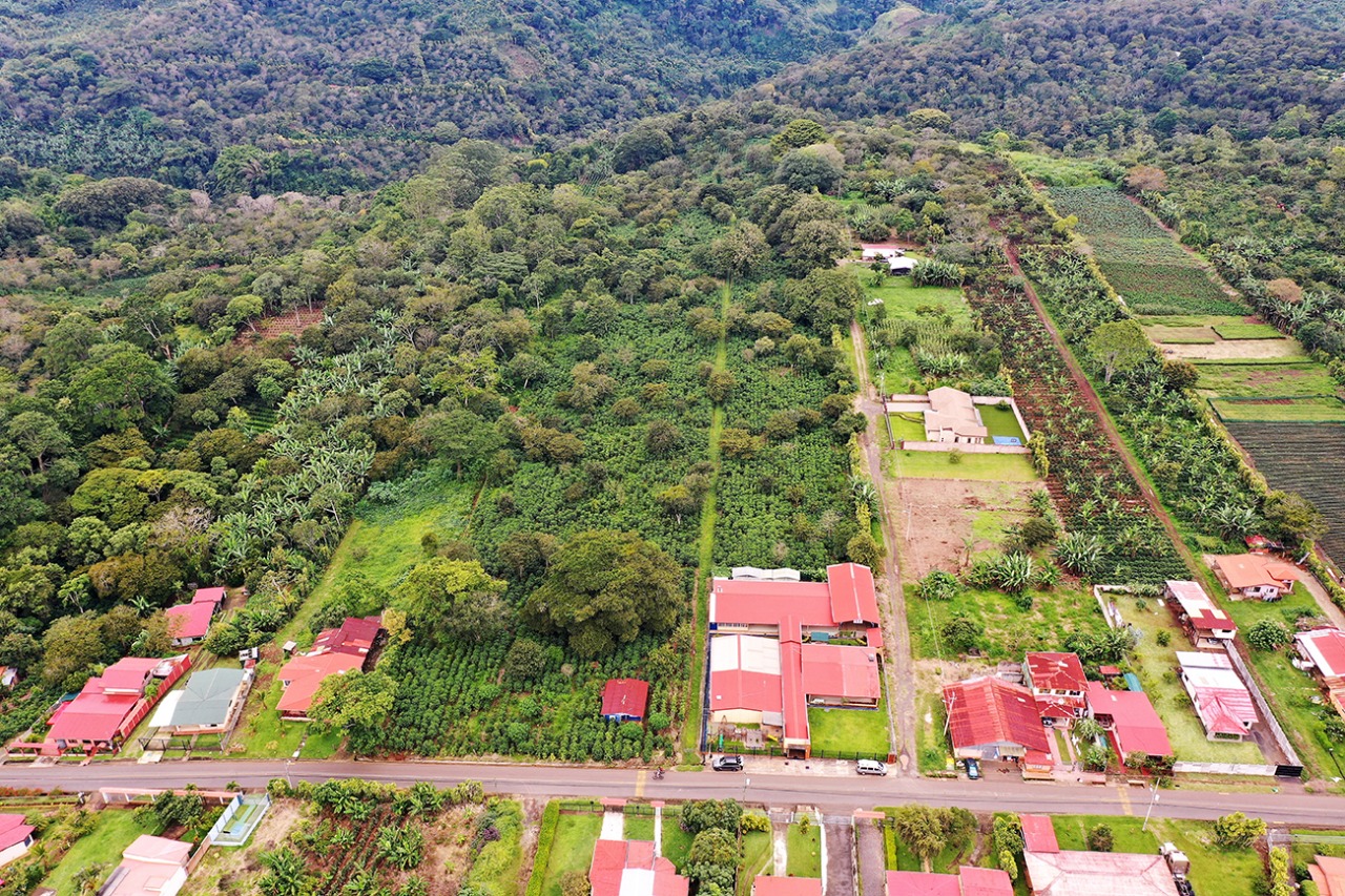 0 bed Land For Sale in Naranjo, Alajuela - thumb 6