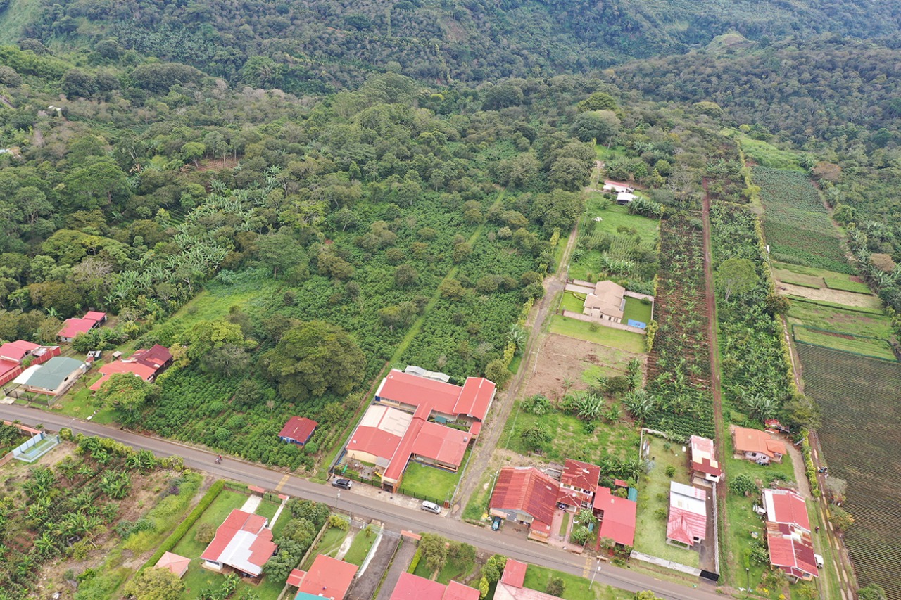 0 bed Land For Sale in Naranjo, Alajuela - thumb 4