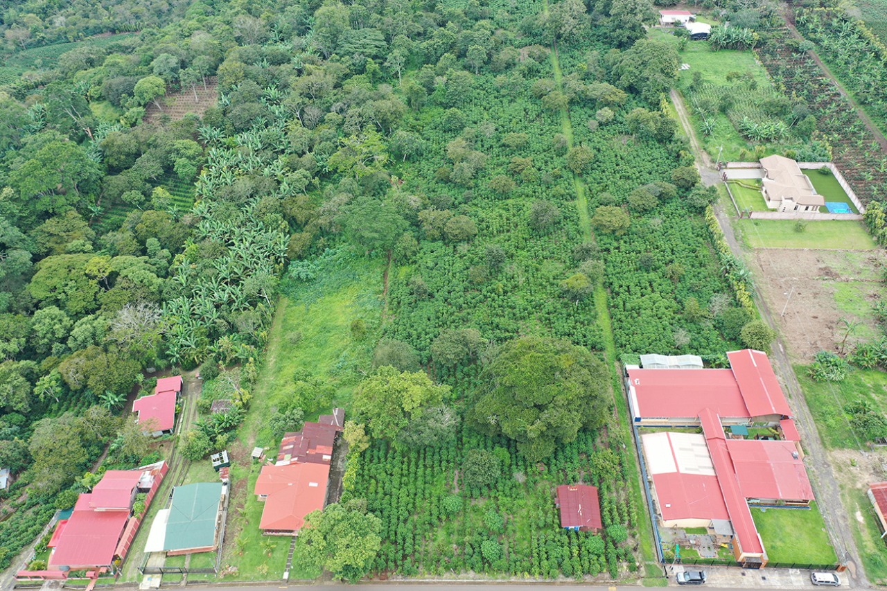 0 bed Land For Sale in Naranjo, Alajuela - thumb 3