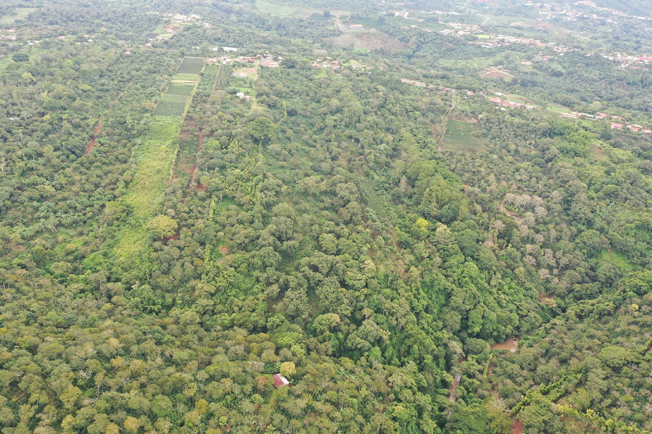 0 bed Land For Sale in Naranjo, Alajuela - thumb 7