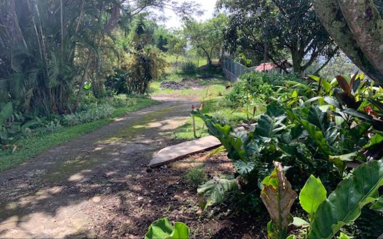 4 bed Single Family Homes For Sale in Atenas, Alajuela - thumb 28